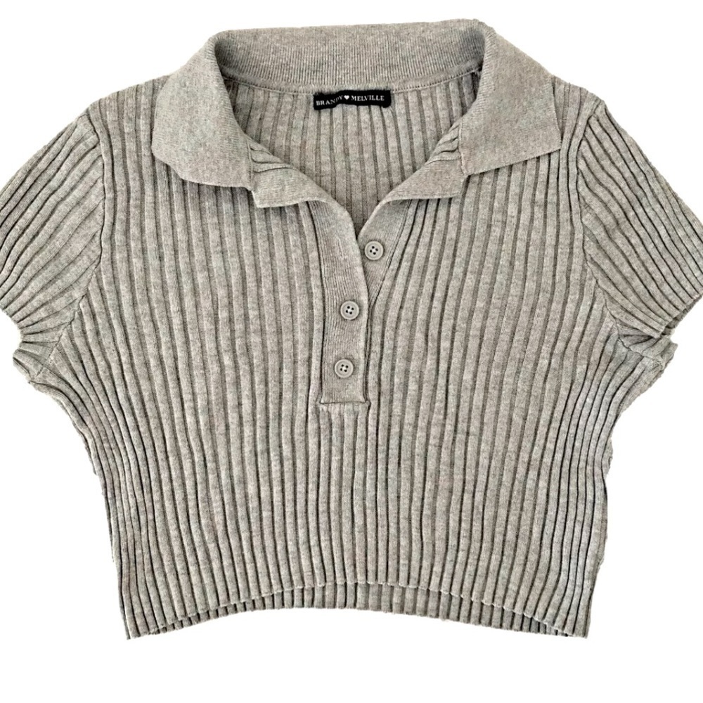 Brandy melville ribbed Bridget polo crop top in grey short sleeved and buttons